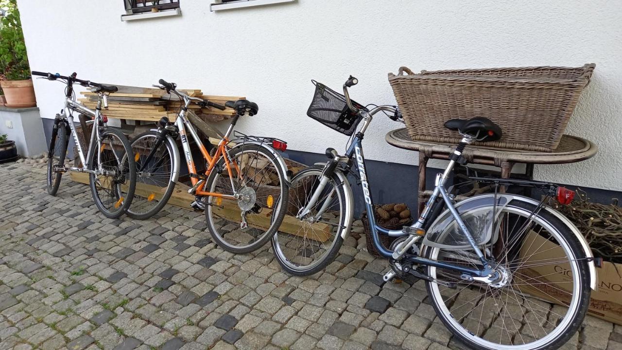 Apartment Haus Merlin Am Boeckelsberg Weimar Kültér fotó